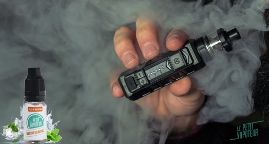 avis-eliquides-lpv-sels-nicotine-blog-le-petit-vapoteur (10)